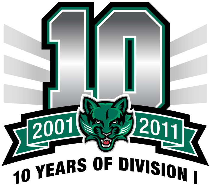 Binghamton Bearcats 2011 Anniversary Logo diy iron on heat transfer